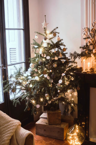 Dear Santa...